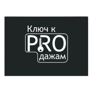 igra-klyuch-k-prodazham-biznes